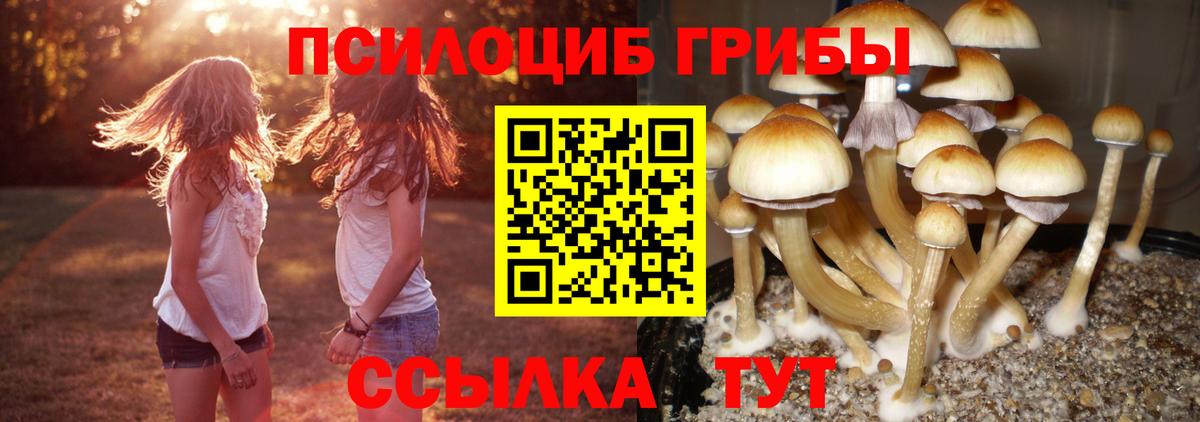 Псилоцибиновые грибы мицелий  Вход с VPN  Истра 